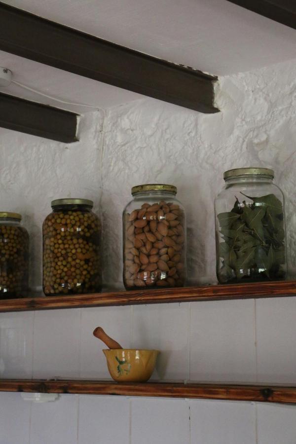 Casa Ecologica En Plena Naturaleza Arboli 外观 照片